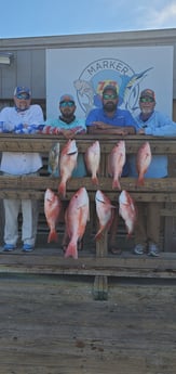 Black Drum, Red Snapper fishing in Corpus Christi, Texas