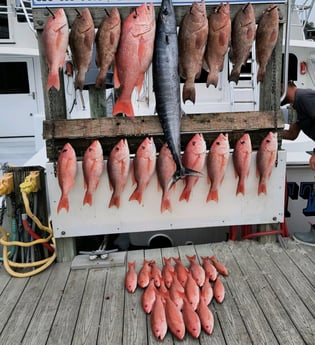 Red Grouper, Red Snapper, Wahoo Fishing in Destin, Florida