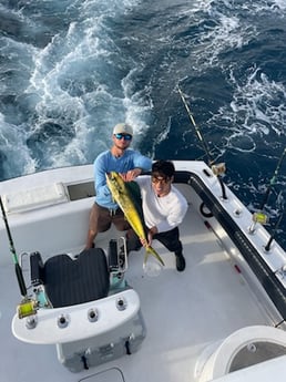 Mahi Mahi Fishing in Miami, Florida