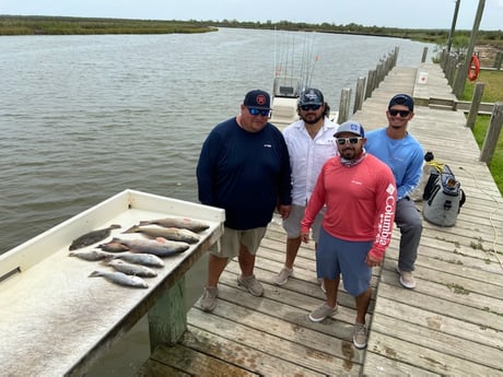 Flounder, Redfish, Speckled Trout / Spotted Seatrout fishing in Freeport, Texas