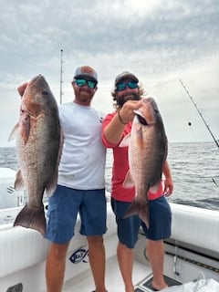 Gag Grouper, Mangrove Snapper Fishing in Destin, Florida