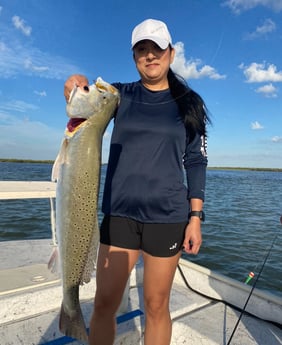 Speckled Trout / Spotted Seatrout fishing in South Padre Island, Texas