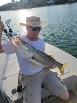 Snook Fishing in Sarasota, Florida