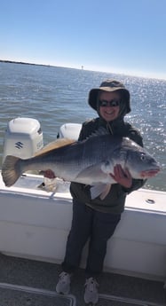 Black Drum fishing in Galveston, Texas