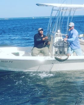 Redfish Fishing in Santa Rosa Beach, Florida, USA