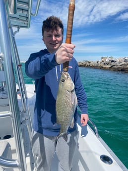 Mangrove Snapper Fishing in Destin, Florida