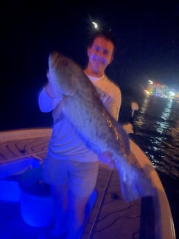 Gag Grouper fishing in Clearwater, Florida