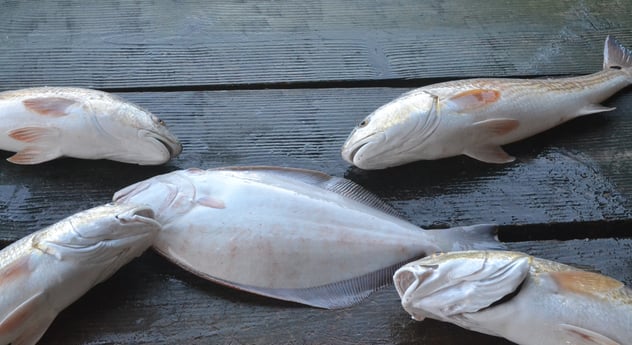 Redfish fishing in Galveston, Texas