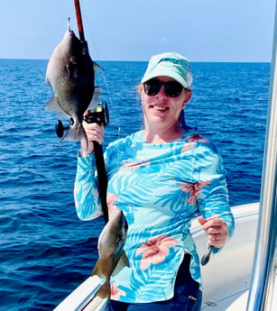 Triggerfish fishing in Pensacola, Florida