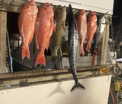 Little Tunny / False Albacore, Red Grouper, Red Snapper, Wahoo fishing in Destin, Florida