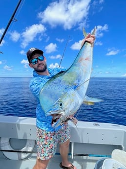 Mahi Mahi Fishing in Key West, Florida