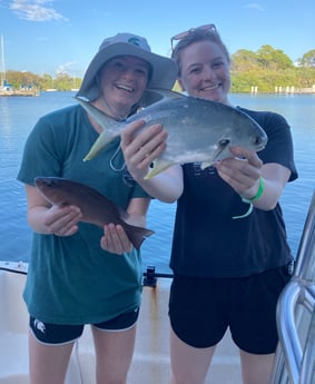 Florida Pompano fishing in St. Petersburg, Florida