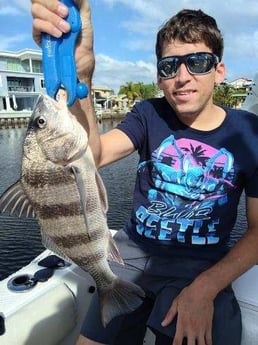 Fishing in Clearwater, Florida