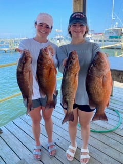 Mangrove Snapper Fishing in Pensacola, Florida