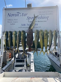 Mahi Mahi / Dorado fishing in Marathon, Florida