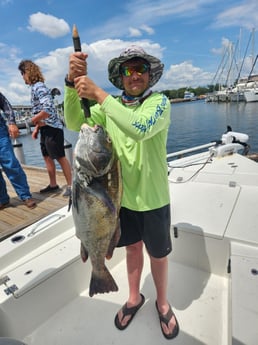 Black Drum Fishing in Pensacola, Florida