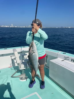Amberjack Fishing in Miami Beach, Florida