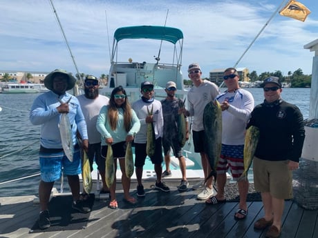 Mahi Mahi / Dorado fishing in Key West, Florida