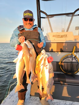 Redfish Fishing in Rio Hondo, Texas