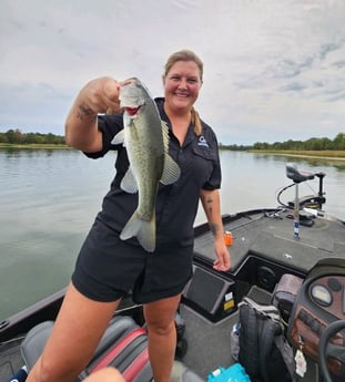 Largemouth Bass Fishing in Austin, Texas