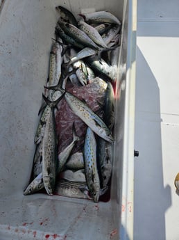 Fishing in Wrightsville Beach, North Carolina