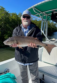 Redfish Fishing in Tampa, Florida