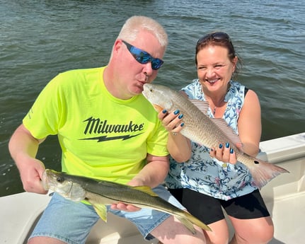 Redfish, Snook Fishing in Tampa, Florida