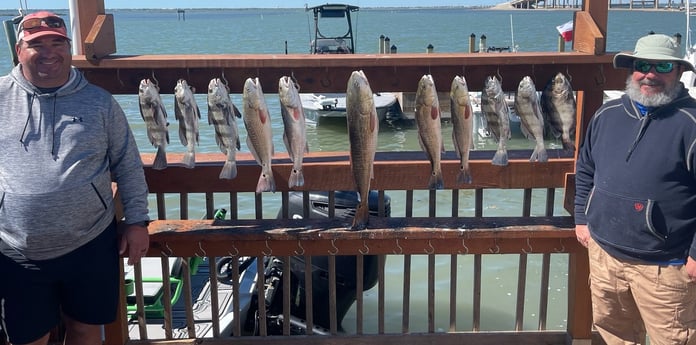 Black Drum, Redfish Fishing in Corpus Christi, Texas