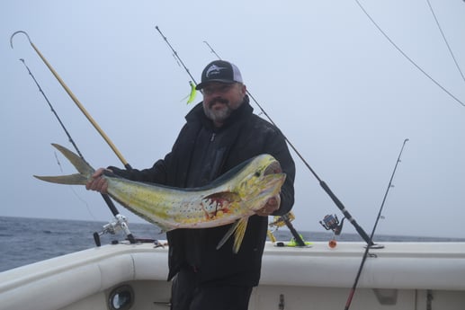 Mahi Mahi / Dorado fishing in Galveston, Texas