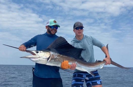 Sailfish Fishing in Miami, Florida