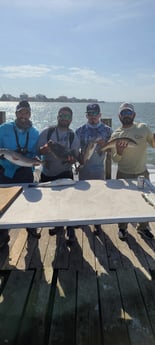 Flounder, Redfish fishing in Galveston, Texas