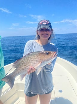 Mangrove Snapper Fishing in Pensacola, Florida