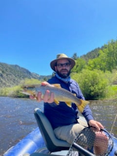 Brown Trout fishing in Deer Lodge, Montana