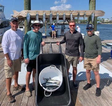 False Albacore, Spanish Mackerel Fishing in Orange Beach, Alabama