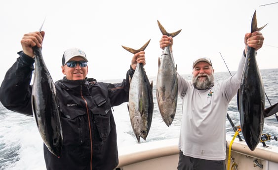 Blackfin Tuna fishing in Galveston, Texas