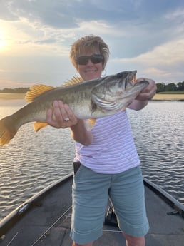 Largemouth Bass fishing in Kissimmee, Florida