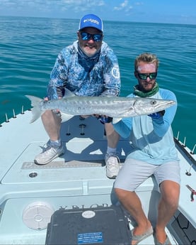 Barracuda fishing in Key West, Florida