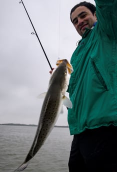 Speckled Trout / Spotted Seatrout fishing in Galveston, Texas