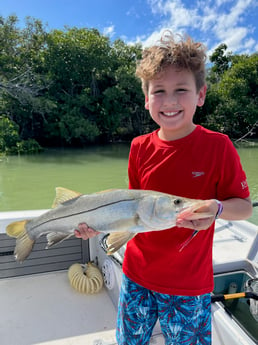 Snook fishing in Tavernier, Florida