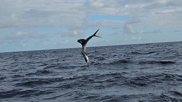 Fishing in Riviera Beach, Florida