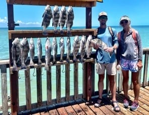 Black Drum, Speckled Trout / Spotted Seatrout fishing in South Padre Island, Texas