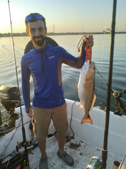 Redfish Fishing in San Antonio, Texas