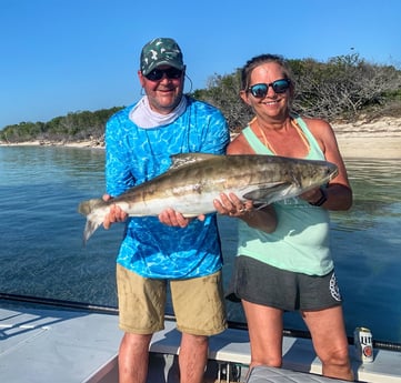 Cobia fishing in Cudjoe Key, Florida