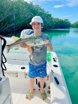 Snook Fishing in Key Largo, Florida