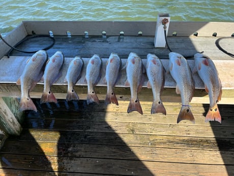 Redfish Fishing in Rockport, Texas