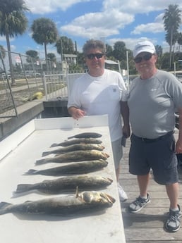 Speckled Trout / Spotted Seatrout Fishing in Tampa, Florida