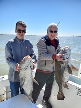 Black Drum fishing in Galveston, Texas