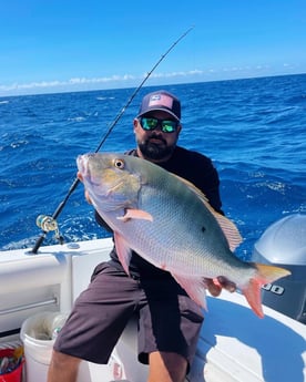 Mutton Snapper fishing in Tavernier, Florida