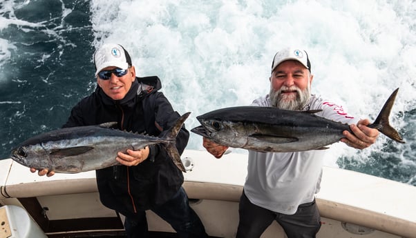 Blackfin Tuna fishing in Galveston, Texas