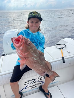 Red Grouper fishing in Sarasota, Florida